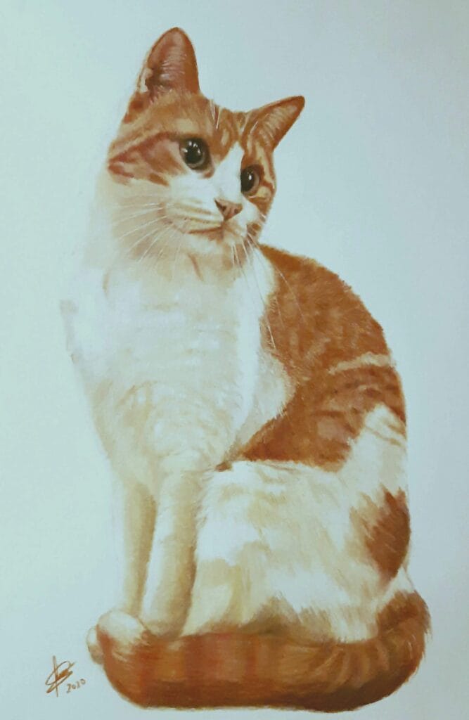 retrato sucre, dibujo a color animales