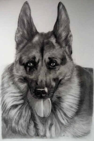 Urko retrato mascota a lápiz a2