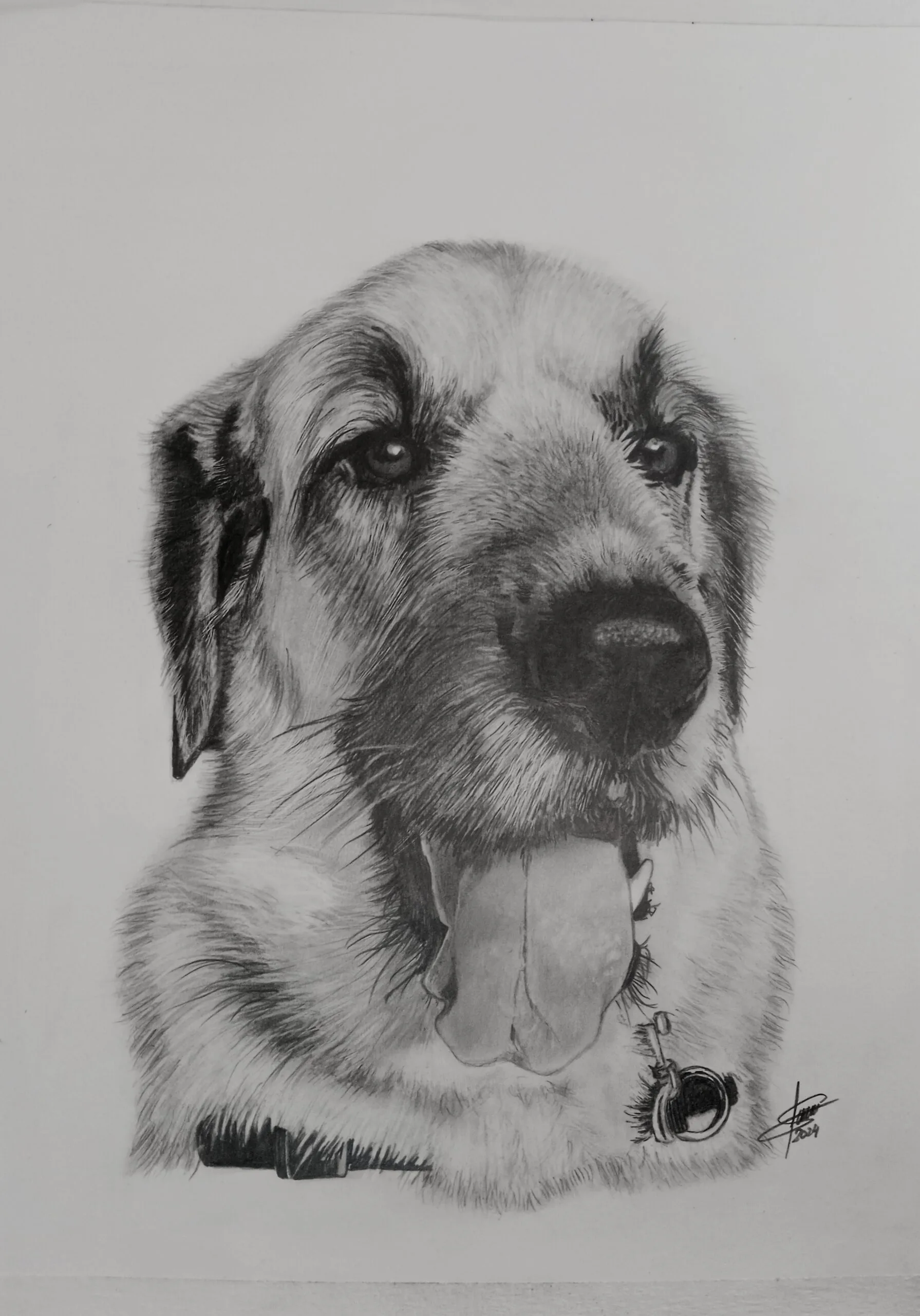 Retrato personalizado de mascota a lápiz desde foto