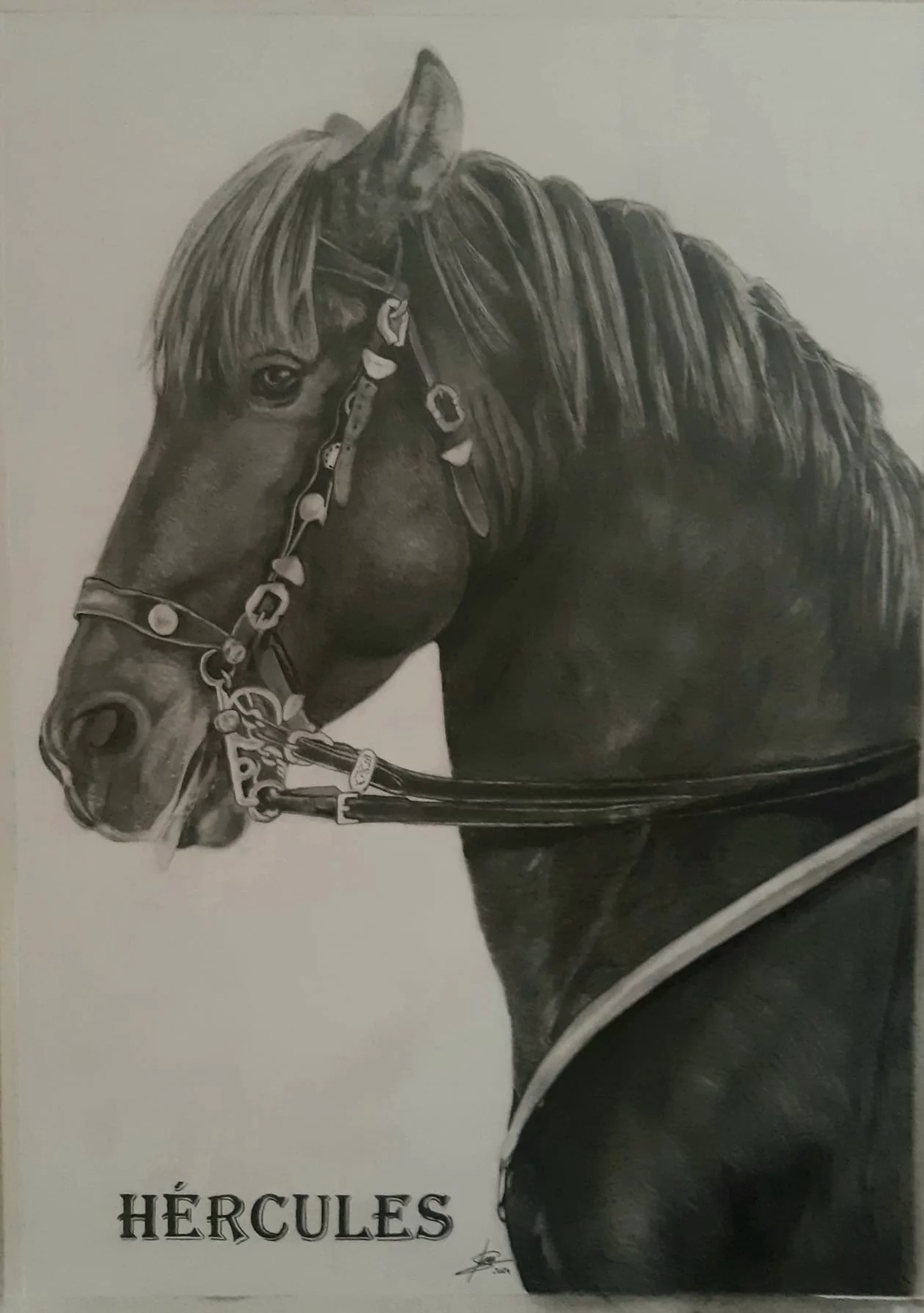 Dibujo realista de caballo realizado desde fotograf&iacute;a