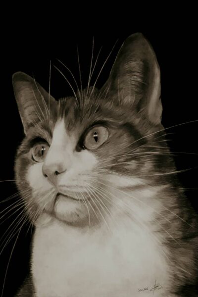 dibujos a lápiz retrato sucre-a1