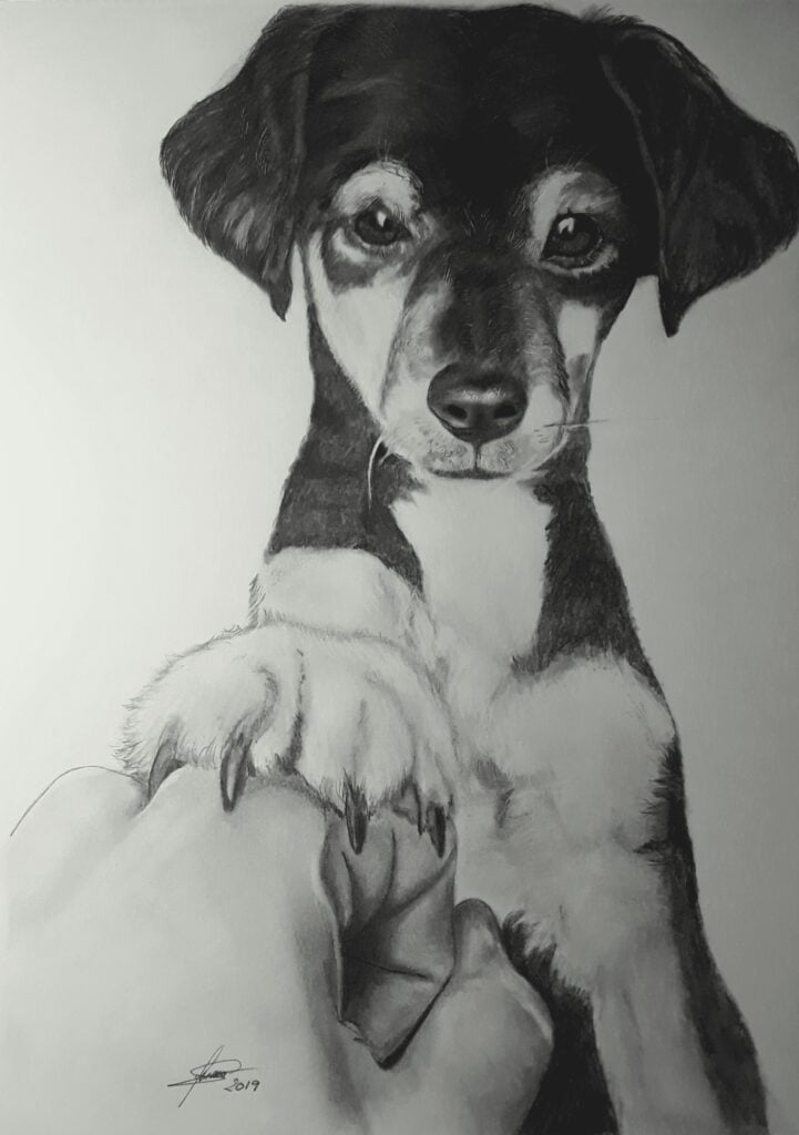 dibujo a lápiz animales