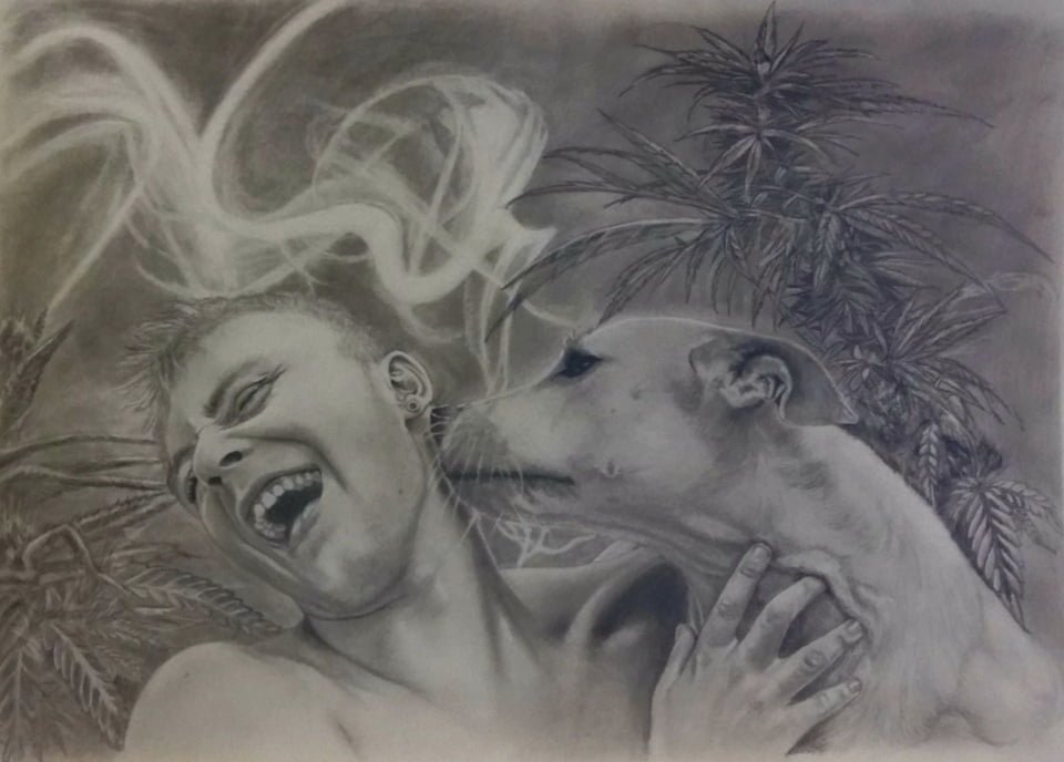 Retrato realista de mascota a lápiz grafito por Artallapis Juan