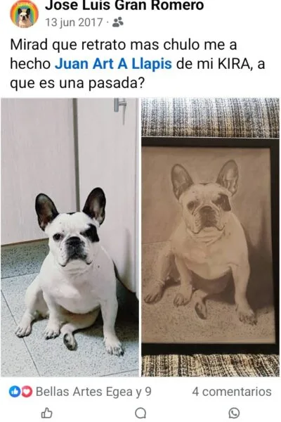 retrato a l&aacute;piz de mascotas