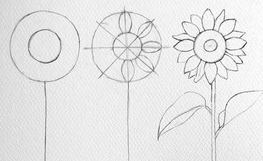 proporción mediante figuras geométricas